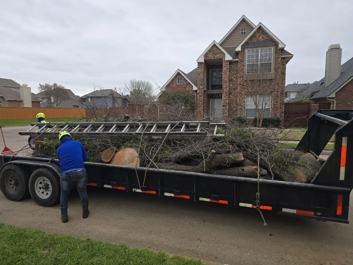 Expert Tree Fertilization with proper safety equipment in Saint Anthony
